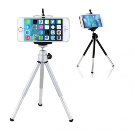 Printed Chiffon Dress