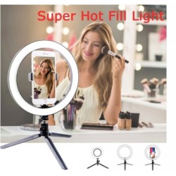 Printed Chiffon Dress