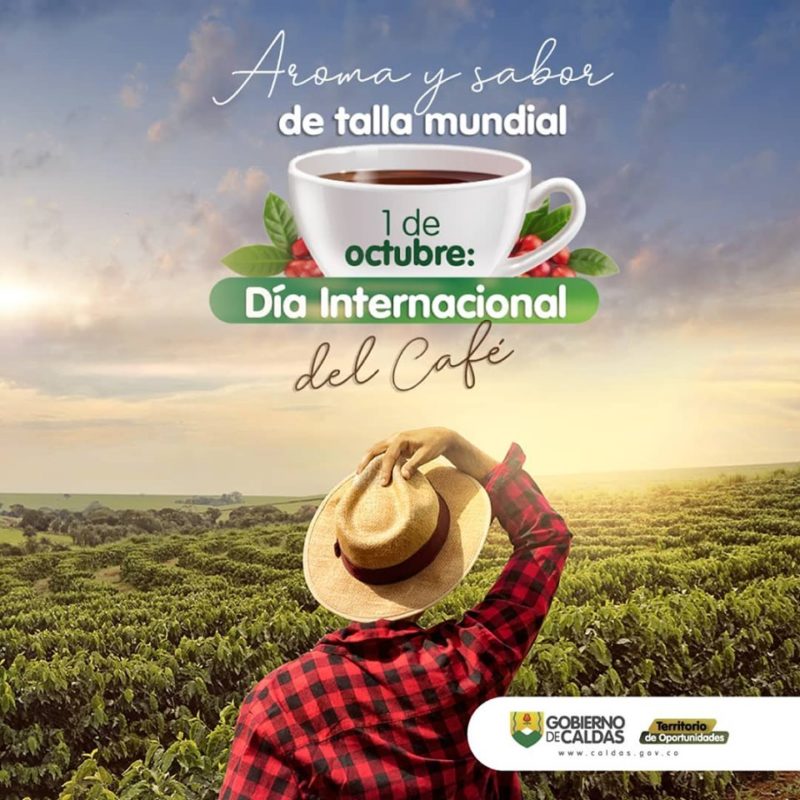 ¿Qué es un microlote en el café de especialidad? • Cafés Moreno