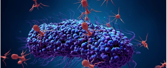 Bacteriófagos - News Medical