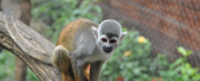 Imagen de: City Express