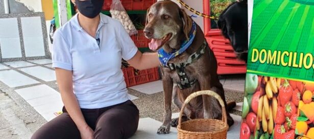 Imagen: Caracol Radio