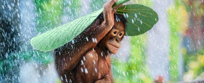 Imagen: National Geographic