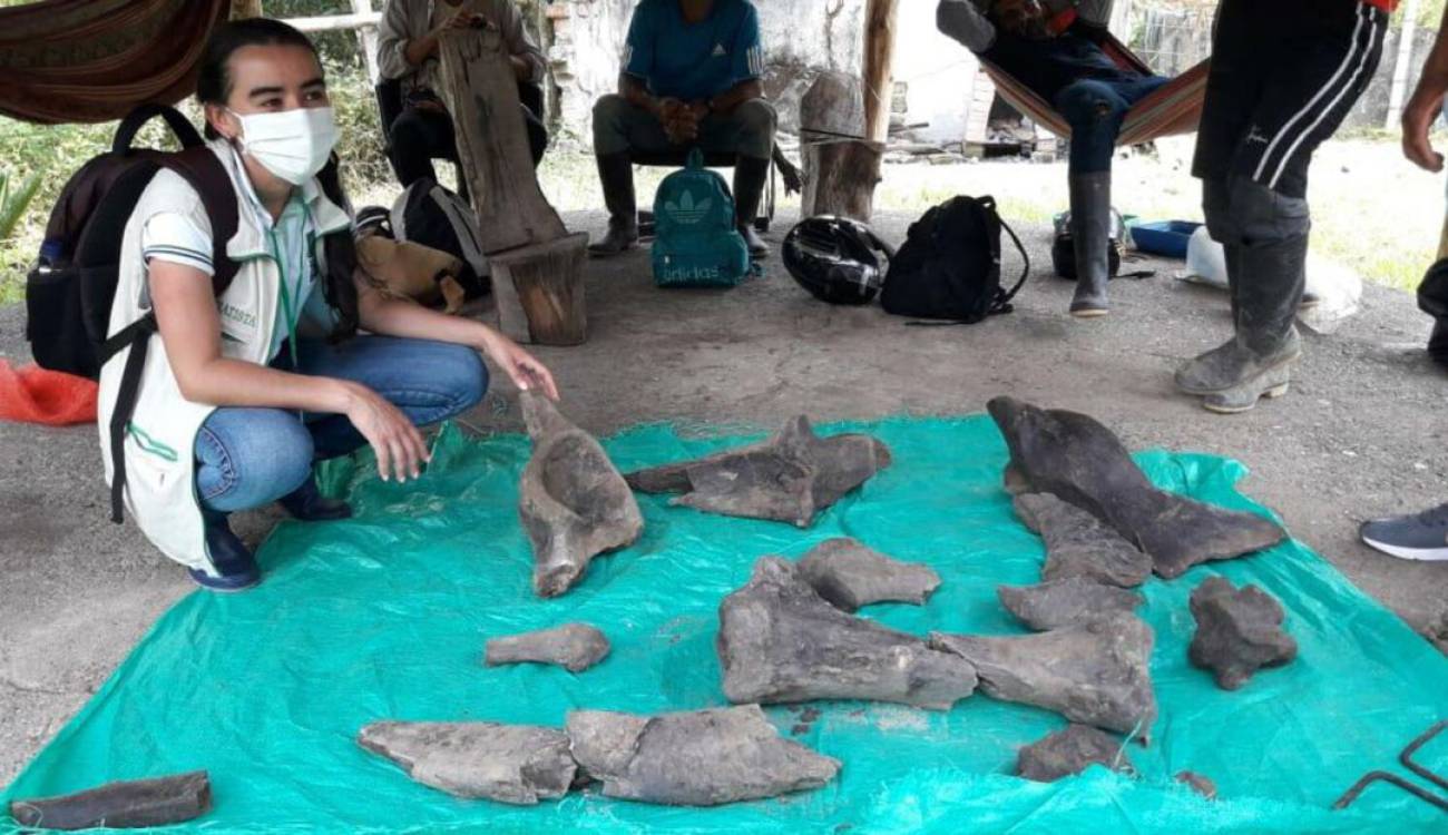 Imagen: Oficial Carder